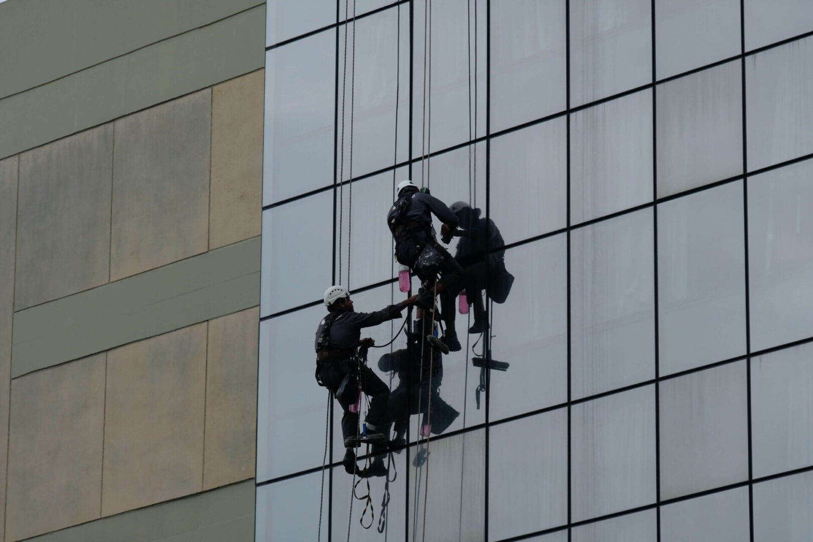 A group of people hanging on ropes from a building.